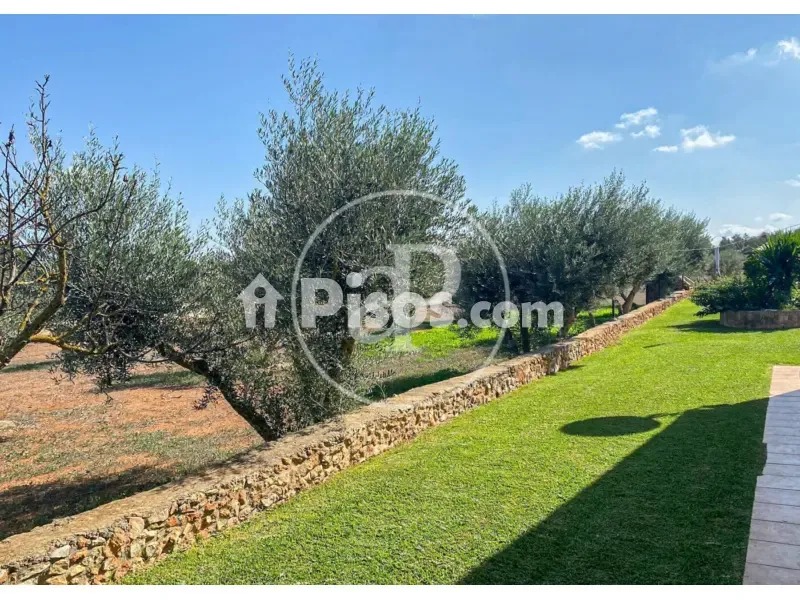 Aed - Modern Villa with Pool near Llucmajor