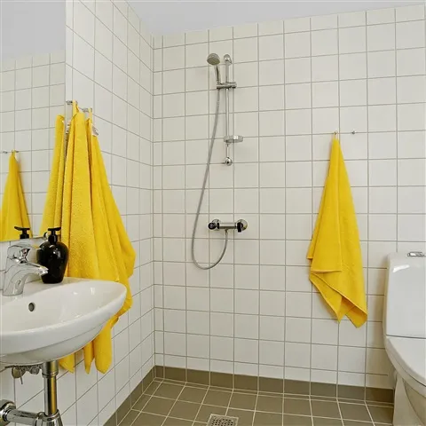 Vannitoad - Apartment with Lift on Hovedgaden, Snedsted