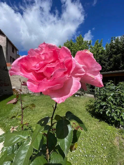 Jardin - Duplex Jardin avec Garage à Toulouse