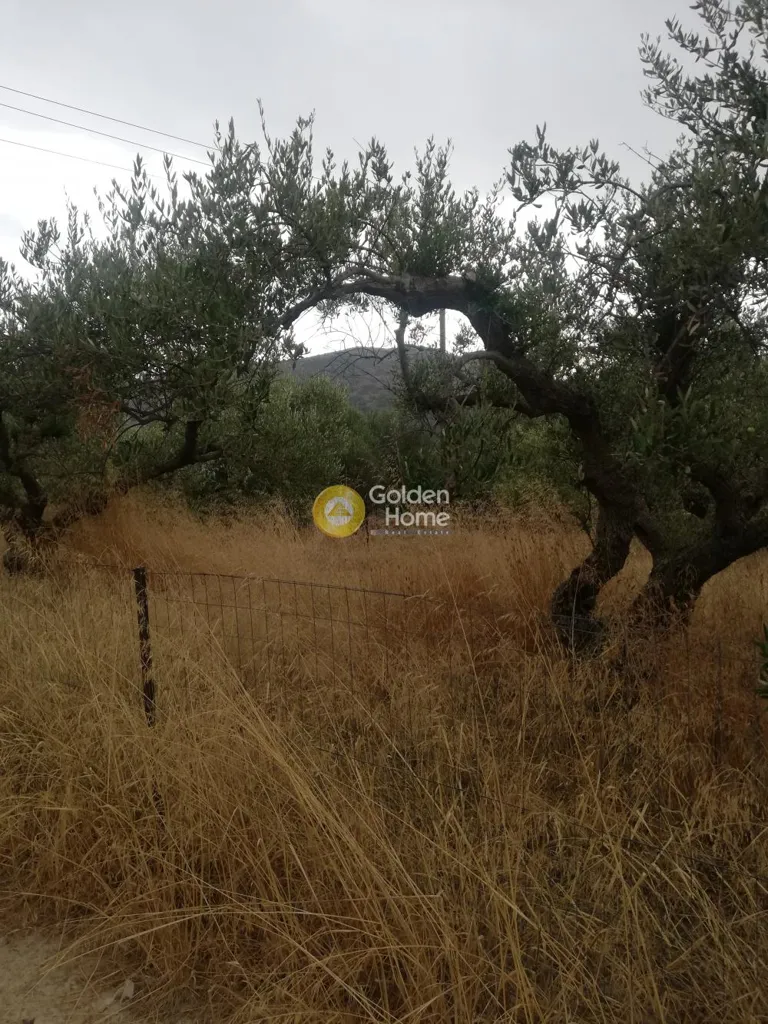 Garden - Agricultural Plot with Mountain View in Gouves