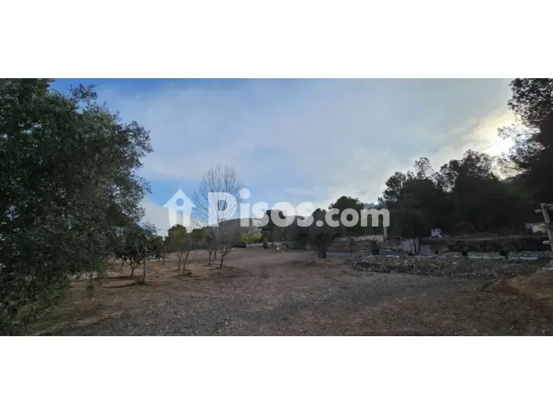 Jardin - Chalet with Pool in Hondón de Las Nieves