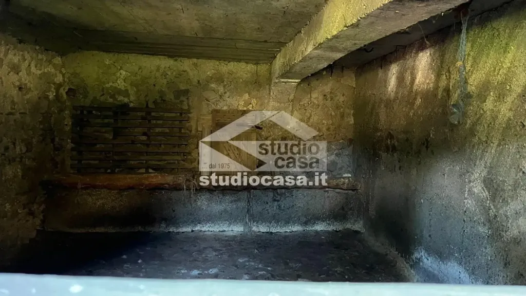 cellar