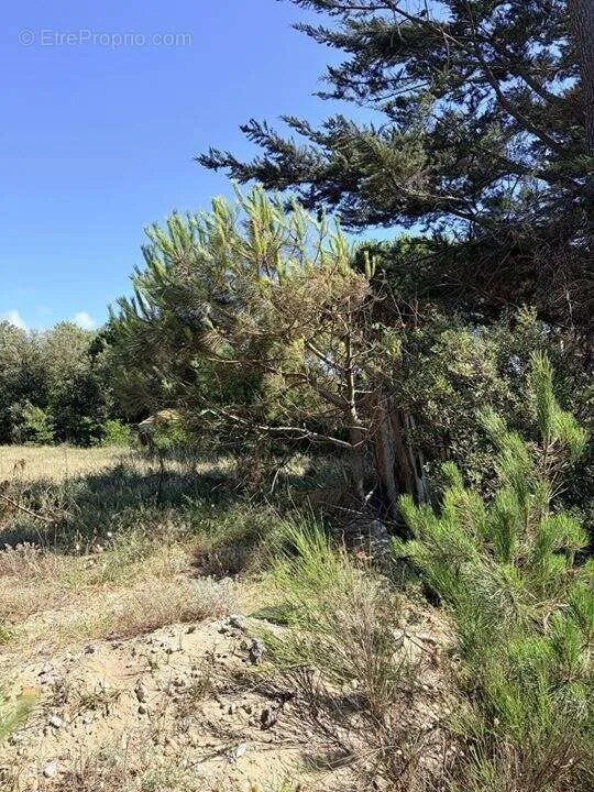Buildable Plot with Ocean View in Soulac-Sur-Mer