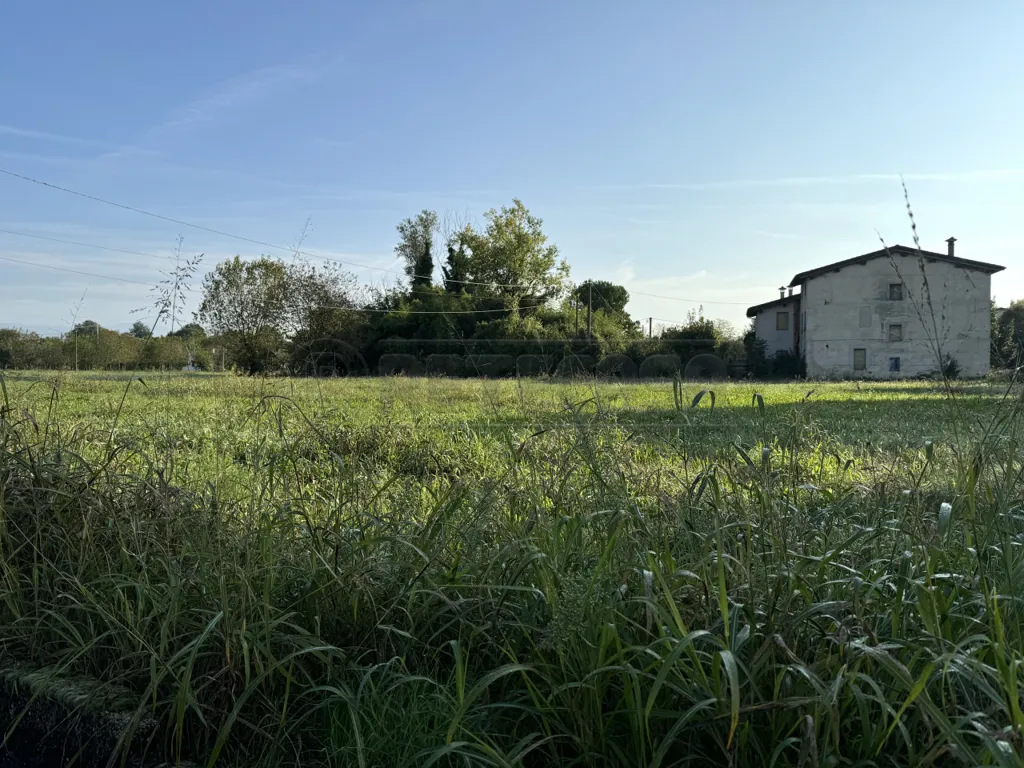 Jardin - Casale with Agricultural Land in Sandrigo