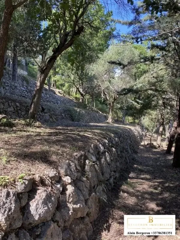 Jardin - Villa avec SPA et Potentiel d'Agrandissement au Tignet