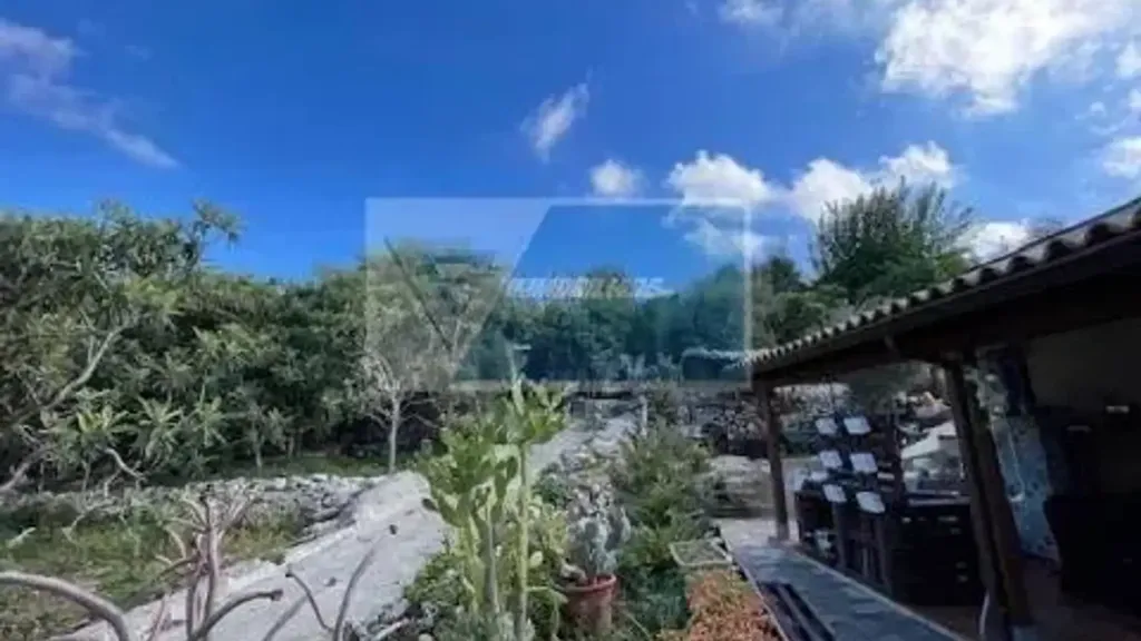 Terrasse - Rustic Villa with Orchard in Siracusa