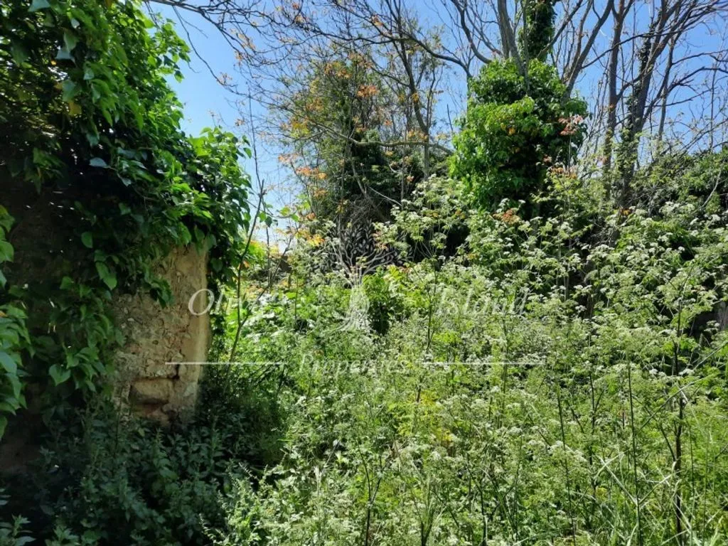 Jardin - 18th Century Manor for Restoration in Binissalem