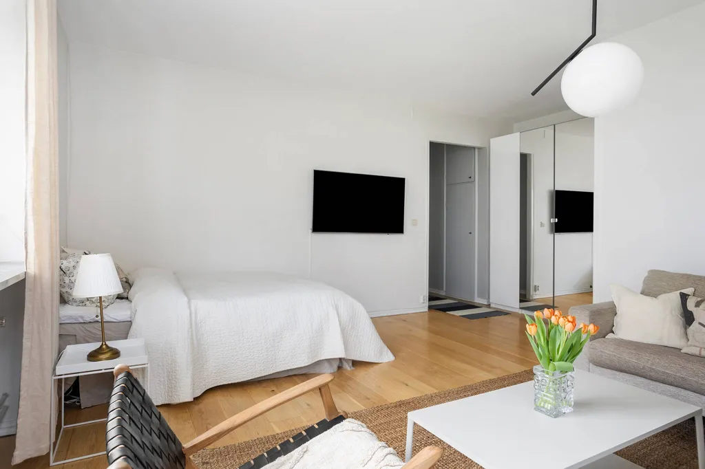 Magamistoad - Corner Flat with Abundant Light in Lund