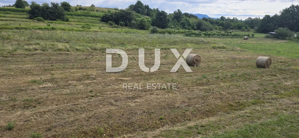 Aed - Investment Plot with Views in Pićan, Istra