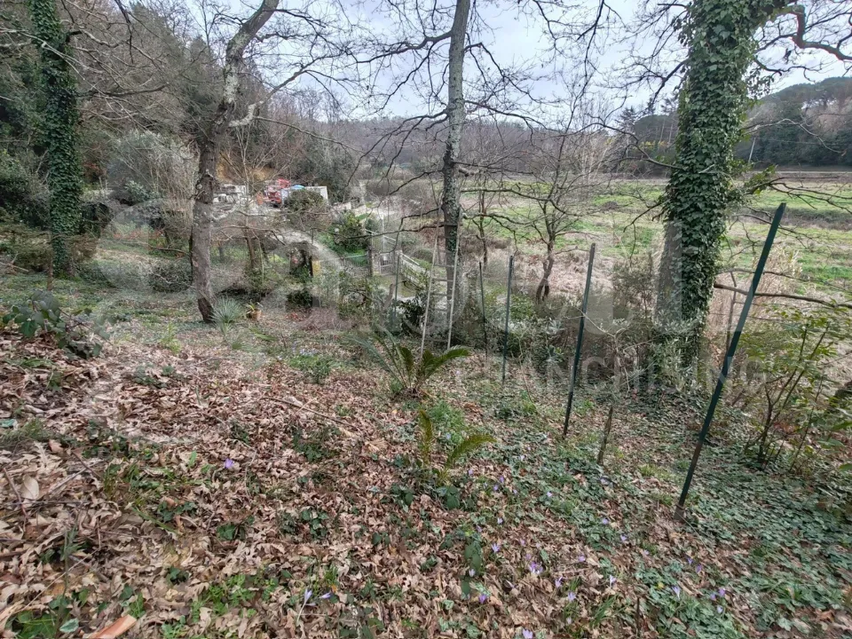 Aed - Rustic House with Garden in Collesalvetti