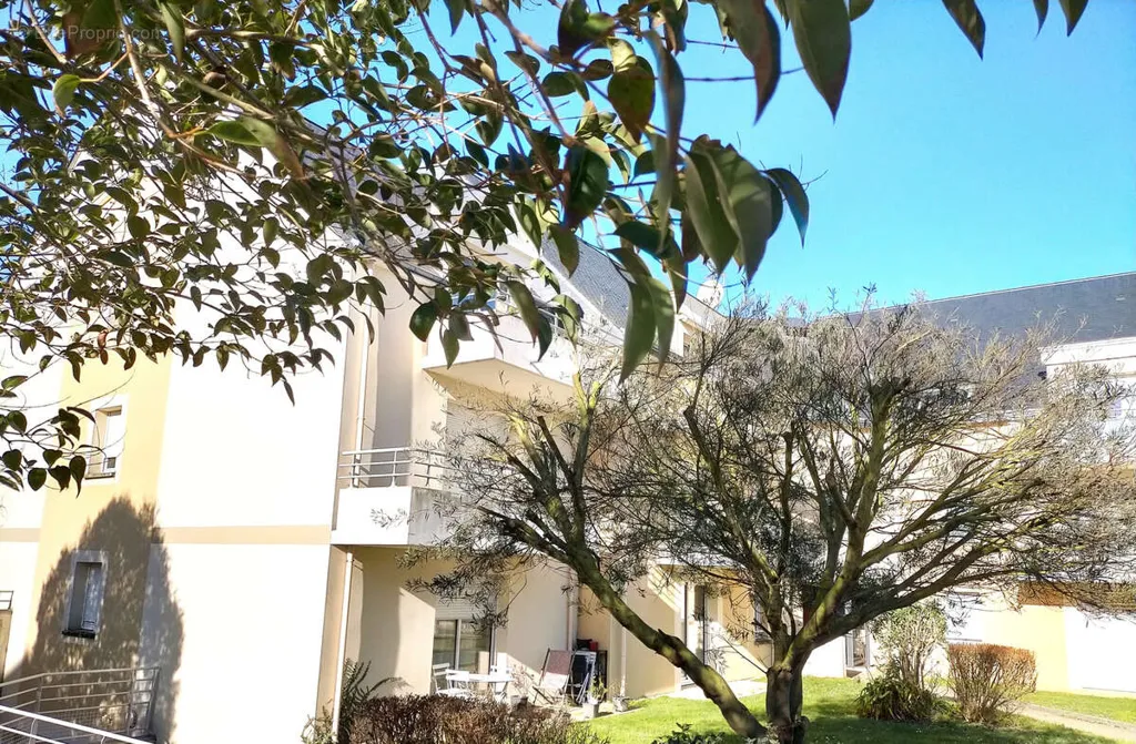 Aed - 4-Bed Apartment with Terrace in Beaussais
