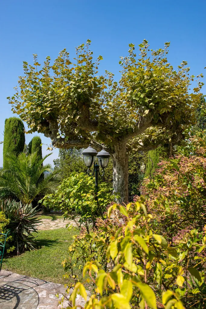 Aed - Bastide with Panoramic Views in Grasse