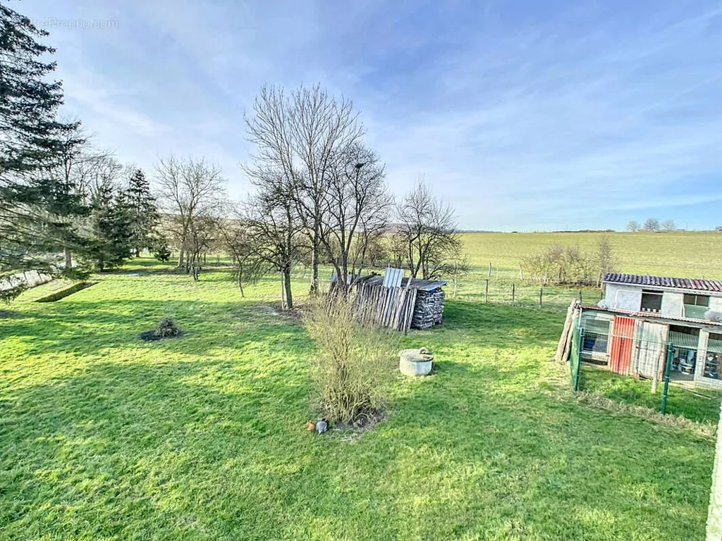 Garden - 6-room house in Viels-Maisons