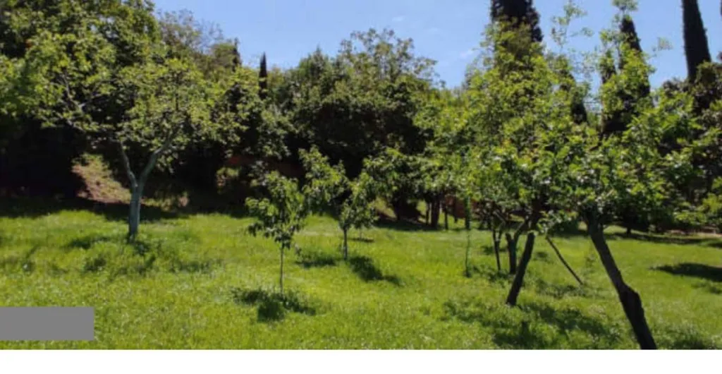 Aed - Villa with Pool and Garden in Toffia