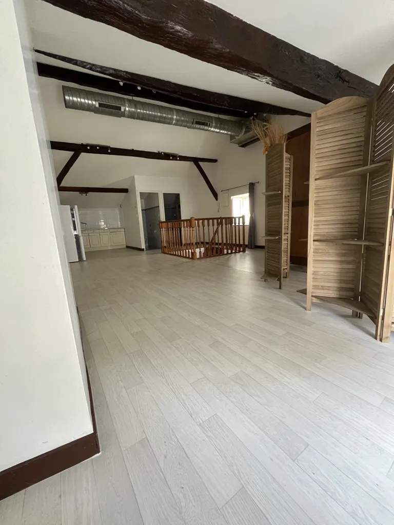 Toad - Loft with Kitchen in Vienne