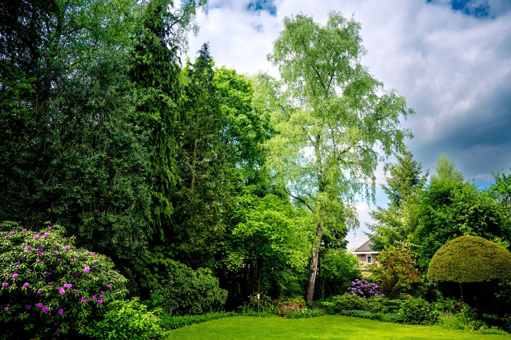 Jardin - Villa with Mature Trees in Ugchelen