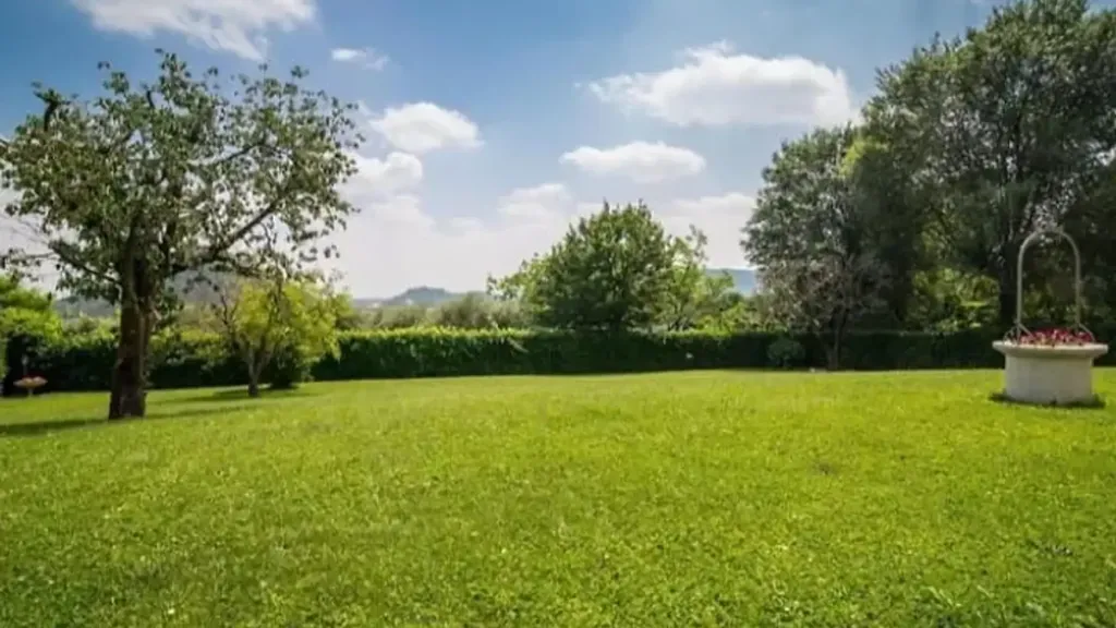 garden