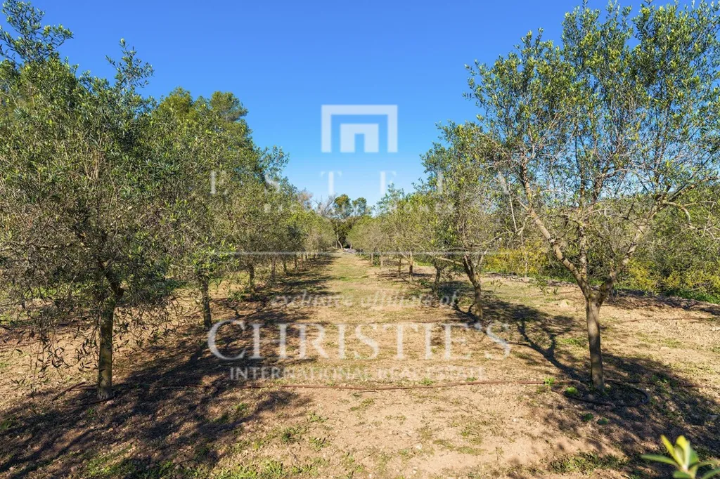 Giardino - Chalet with Pool and Terrace in Sant Joan de Labritja