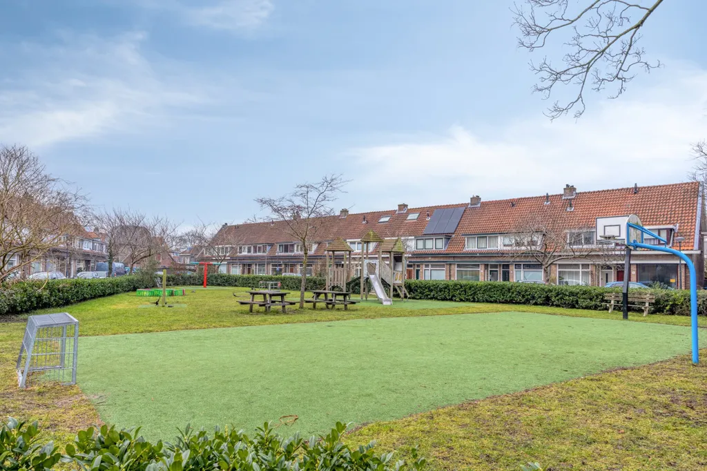 garden