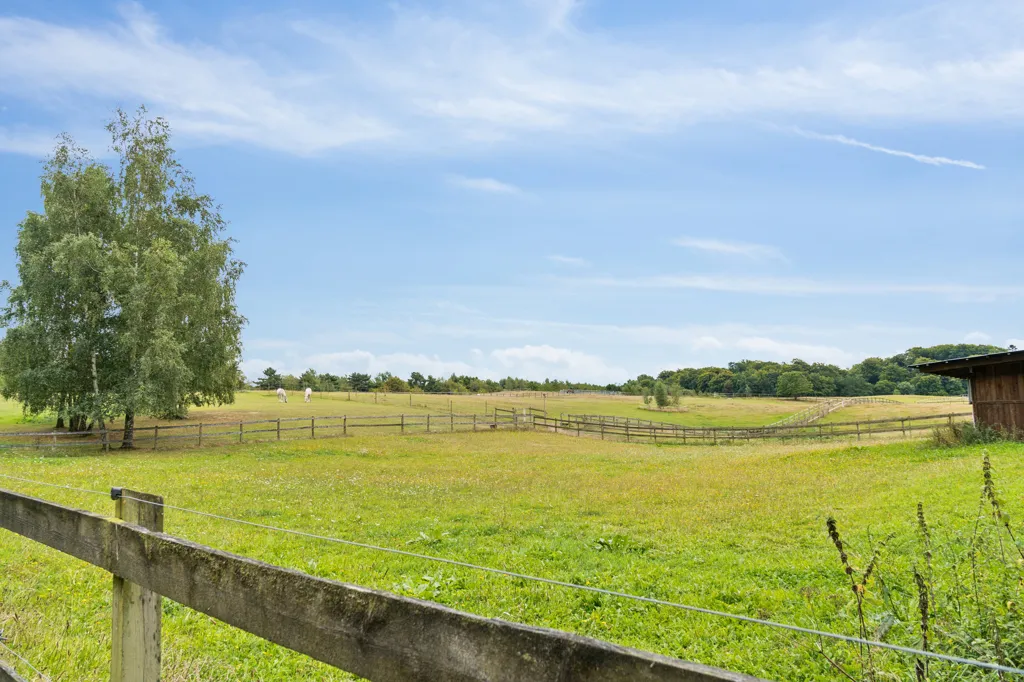 Aed - Villa with Equestrian Facilities in Hillerød