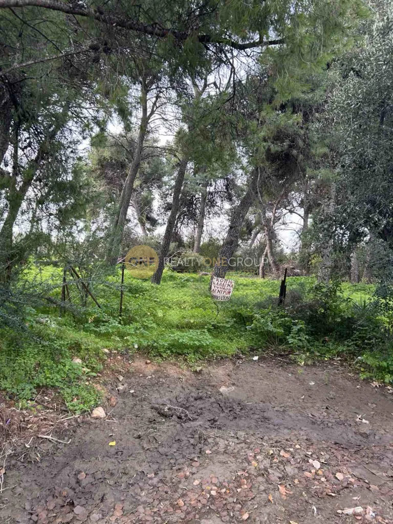 Giardino - Buildable Plot with Panoramic View in Kifissia