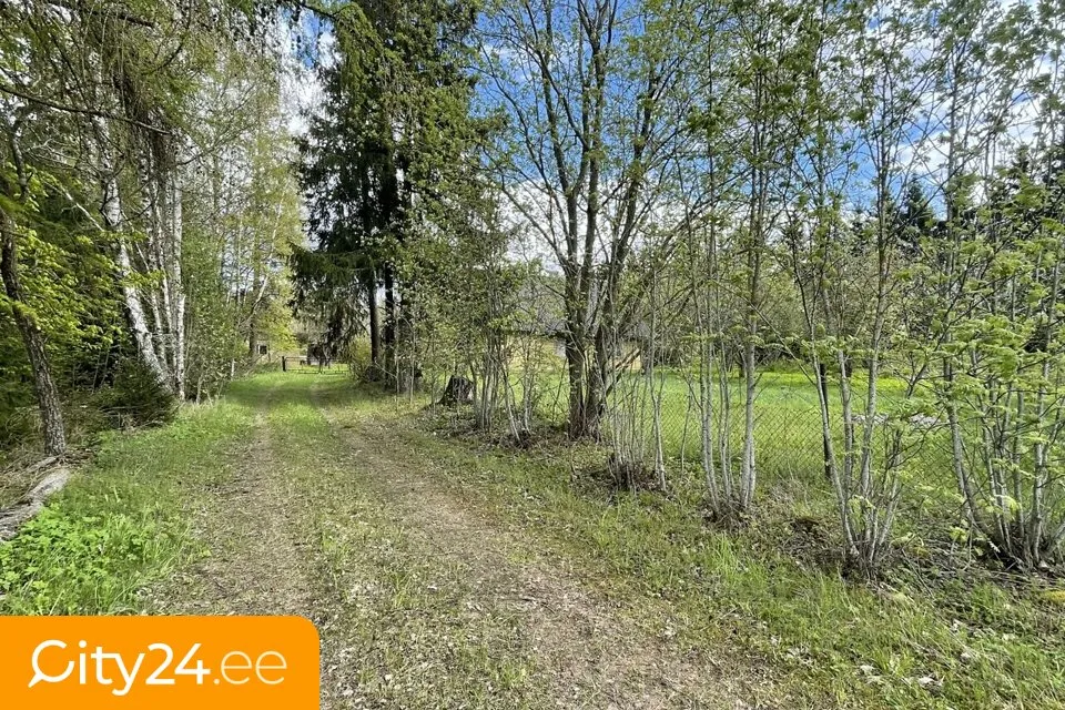 Aed - Traditional Wooden House with Outbuildings near Elva