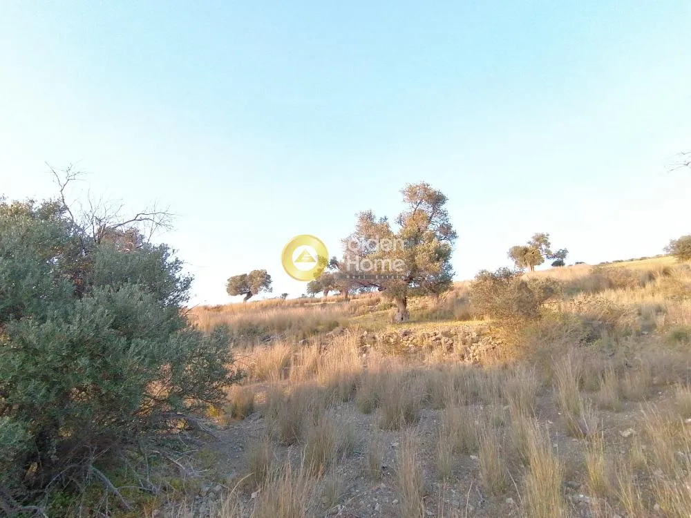 Aed - Agricultural Plot with Panoramic Views in Phaistos
