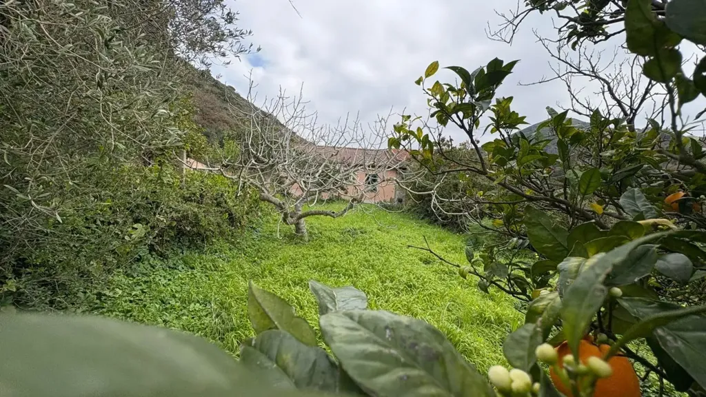 Aed - Independent House with Garden in Messina