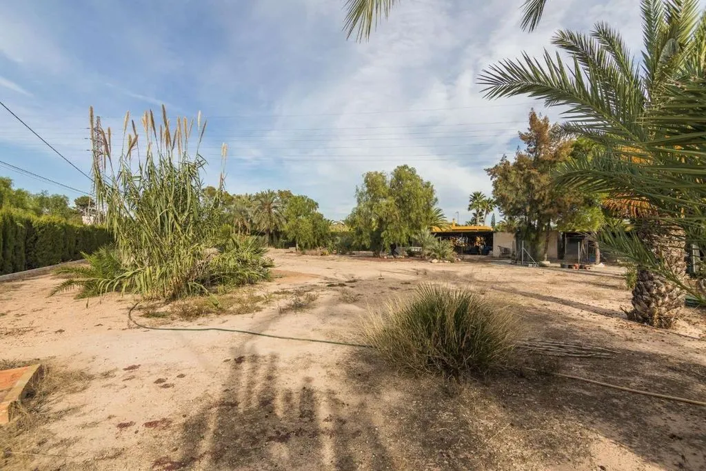Jardin - Luxury Villa with Pool in Elche