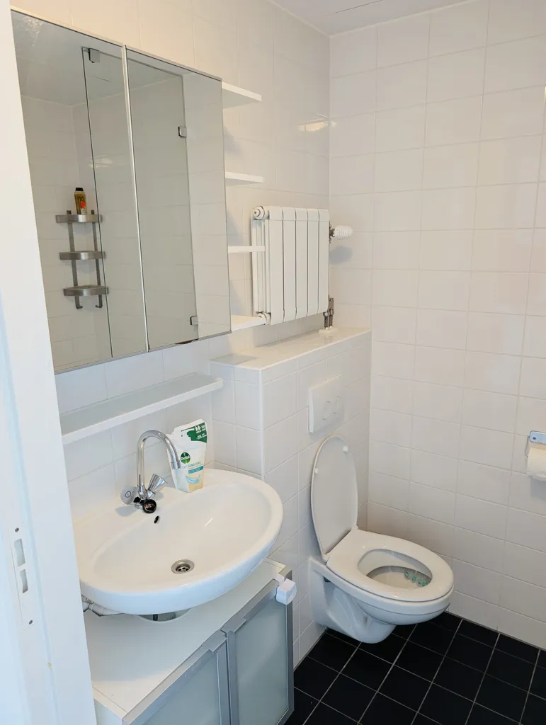 Bagni - Studio Near Erasmuspark with Utilities Included