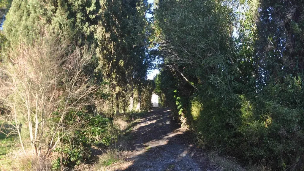 Välivaade - Historic Villa Complex with Panoramic Views near Castelnuovo