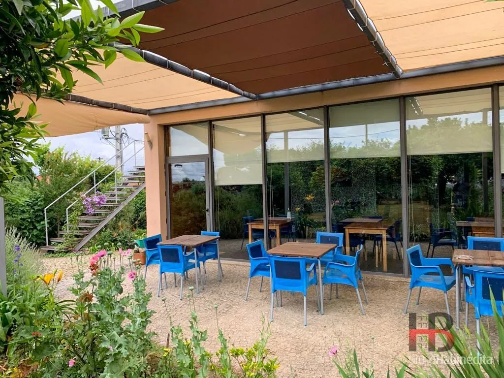 Terrasse - Rustic Farmhouse with Pool in Oliveira de Frades
