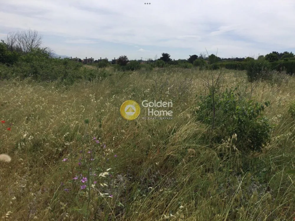 Giardino - Agricultural Plot with Unobstructed View in Thermiakos