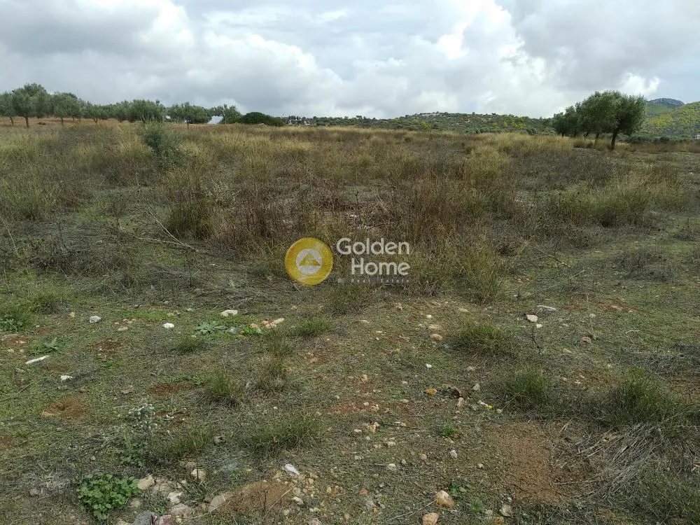 Aed - Plot with Sea View in Synteria, Keratea