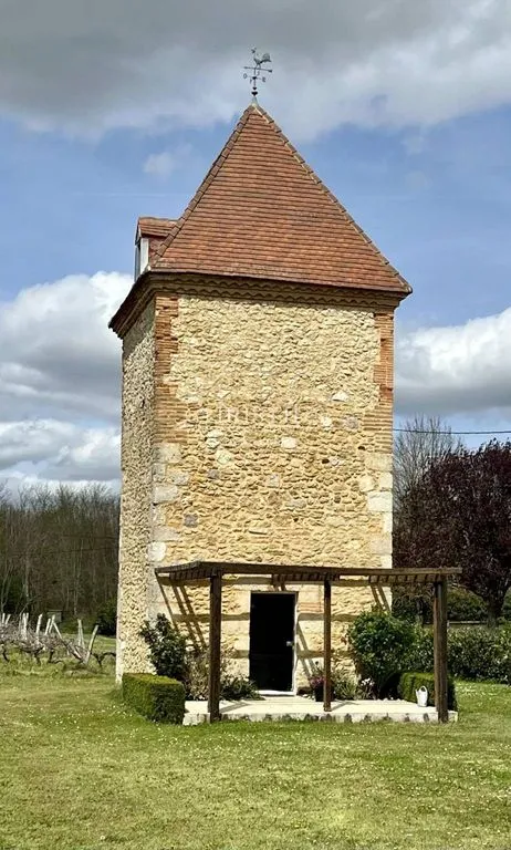 Extérieur - Château avec Vignobles et Parc à Condom