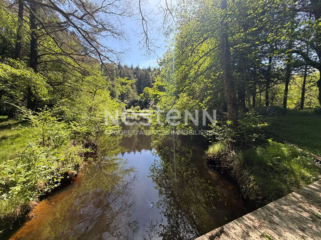 Jardin - Moulin de Caractère avec Étang Privé près de Questembert