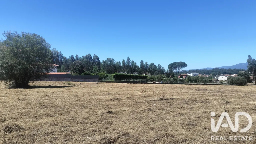 Rural Land with Expansion Potential in Tondela