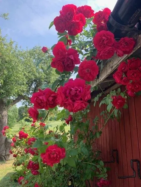 Maison 3 pièces à Strängnäs kommun