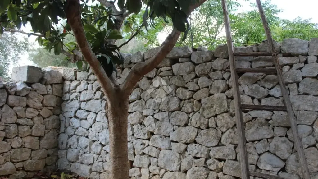 Aed - Traditional House with Garden in Carovigno