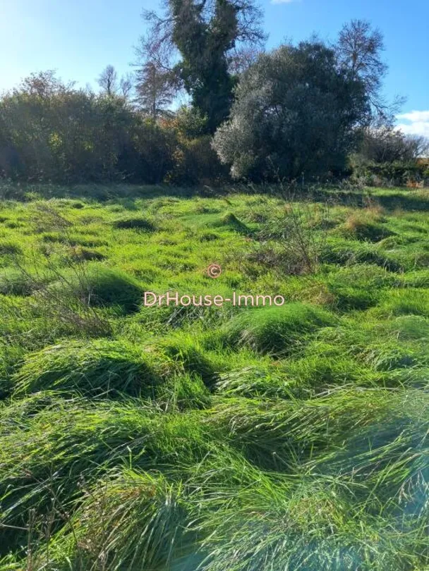 Jardin - Terrain Constructible à Civrac-en-Médoc
