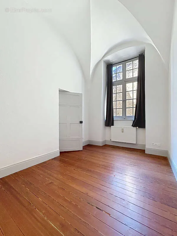 Toad - Spacious T2 with Garden View in Historic Centre