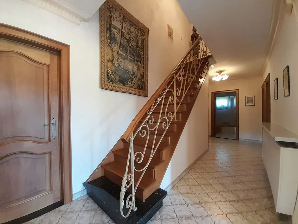 Toad - Open Plan House with Garden in Brakel