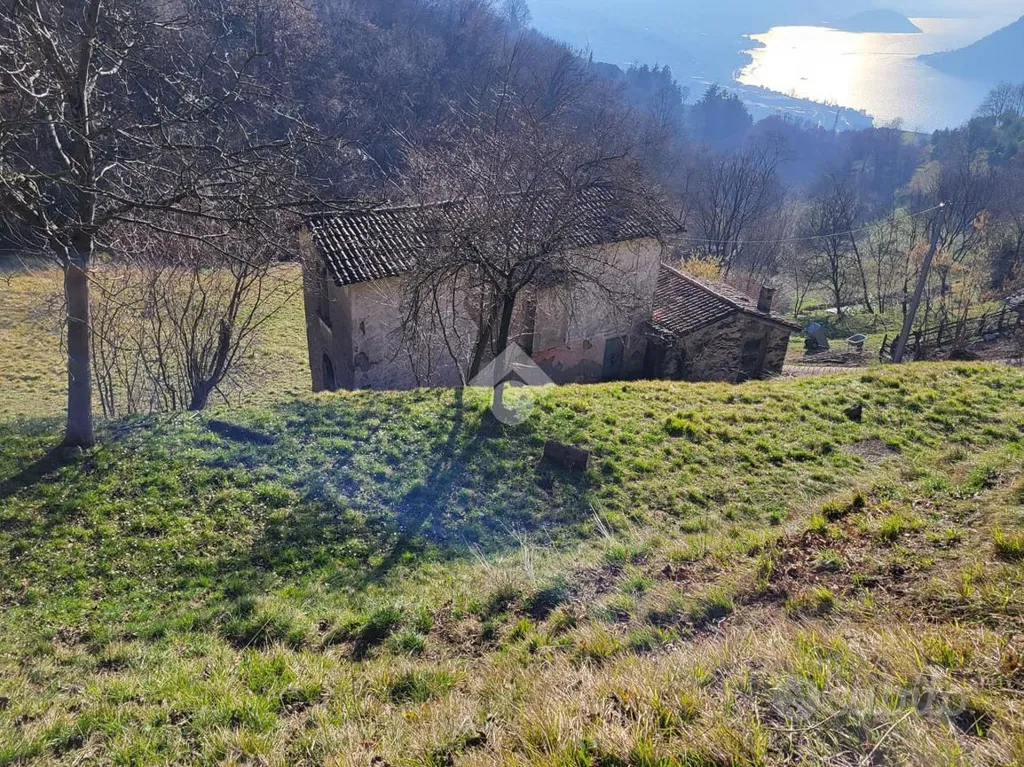 Terrain à IT
