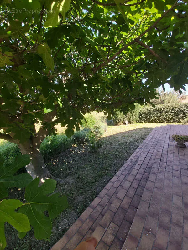 Giardino - Ground Floor Villa with Garden in Calvisson