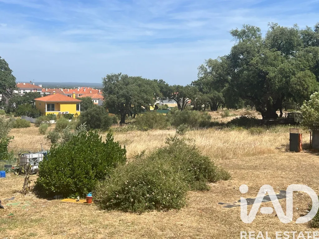 Jardin - T2 Apartment with Garden View in Palmela
