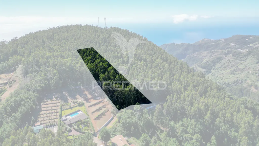 Vue aérienne - Terrain à Santa Cruz