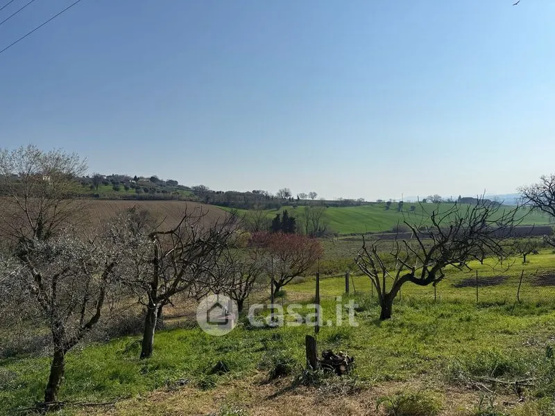 Garden - Rustic Farmhouse with Garden in Loro Piceno