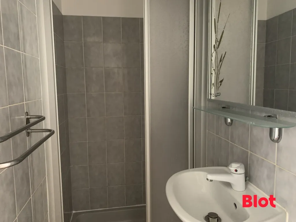 Bagni - 5-Piece Apartment with Balcony in Rennes Centre