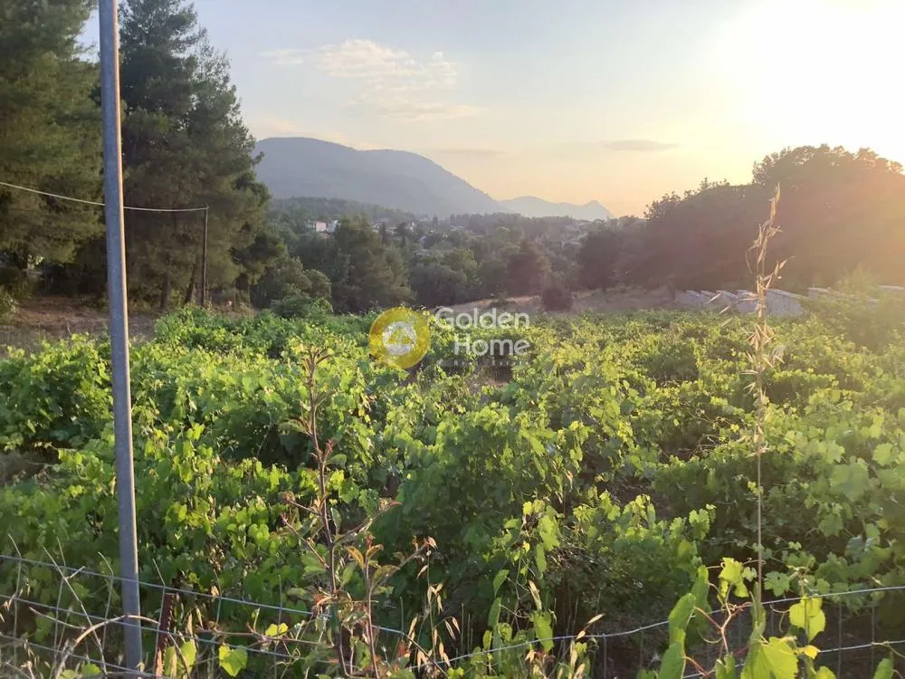 Aed - Agricultural Plot with Panoramic View in Markopoulo, Attica