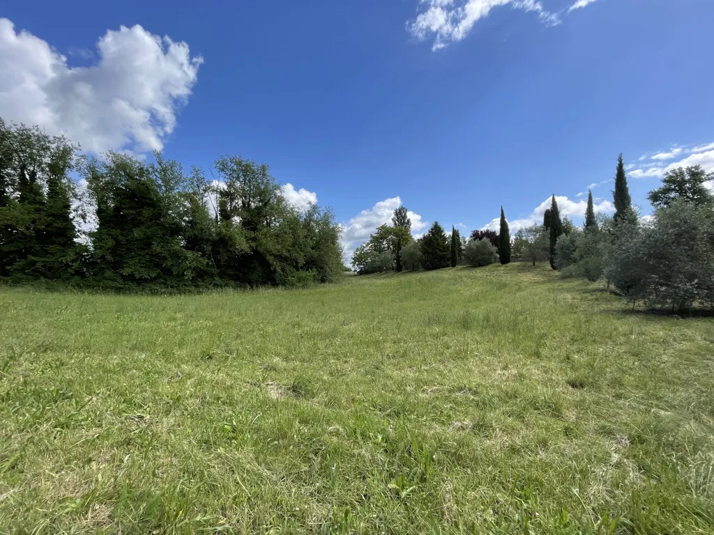 Jardin - Villa with Private Park in Campagnano di Roma